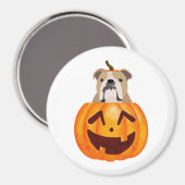 Bulldog Pumpkin Magnet (Vorderseite/Rückseite)