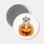 Bulldog Pumpkin Magnet (Vorderseite/Rückseite)