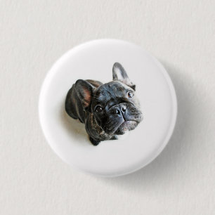 Bulldog-Puppe Button