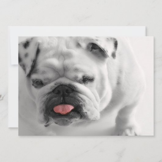 Bulldog-Puppe Einladung (Vorderseite)