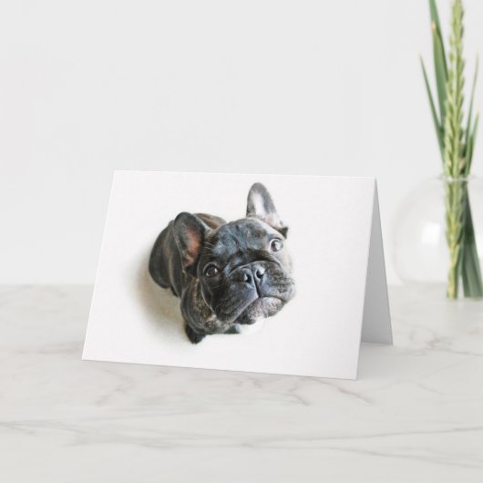 Bulldog-Puppe Karte (Vorderseite)