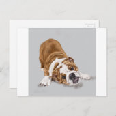 Bulldog Puppy beim Spielen Postkarte (Vorne/Hinten)