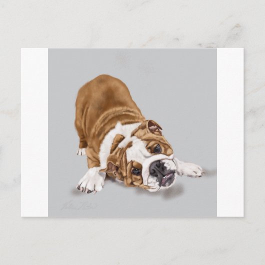 Bulldog Puppy beim Spielen Postkarte (Vorderseite)