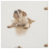 Bulldog Puppy Fabric Stoff (Muster)
