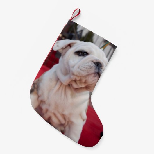 Bulldog Puppy Kleiner Weihnachtsstrumpf (Vorderansicht (hängend))