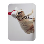 Bulldog Puppy Wear Weihnachtsmannmütze Magnet (Vertikal)