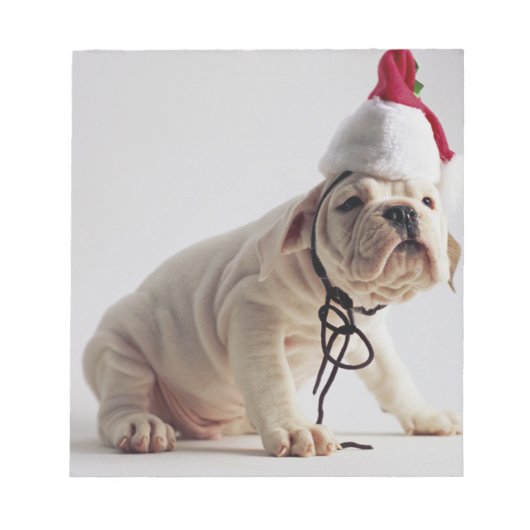 Bulldog Puppy Wear Weihnachtsmannmütze Notizblock (Vorderseite)