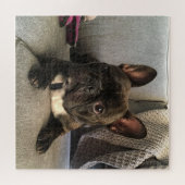 Bulldog Puzzle (Horizontal)