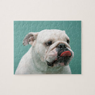 Bulldog Puzzle