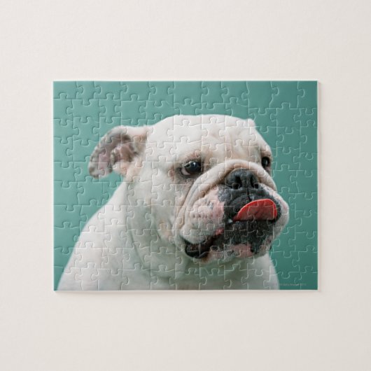 Bulldog Puzzle (Horizontal)