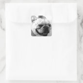 Bulldog Quadratischer Aufkleber (Tasche)