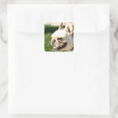 Bulldog Quadratischer Aufkleber (Tasche)