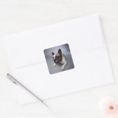 Bulldog Quadratischer Aufkleber (Umschlag)