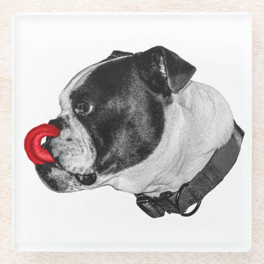 Bulldog Red Accent Coaster Glasuntersetzer (Vorderseite)