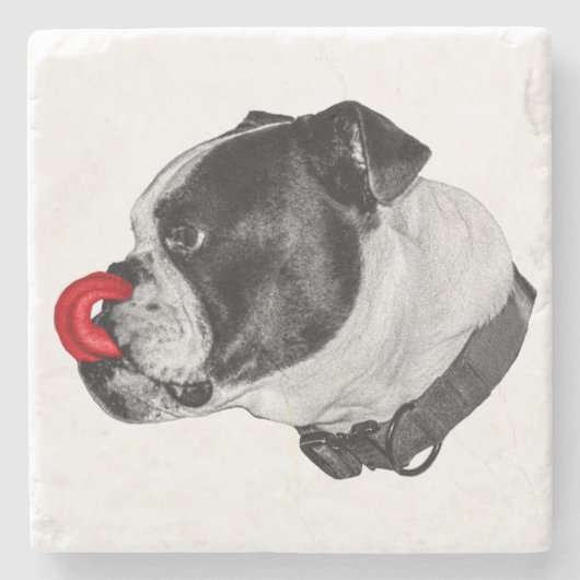 Bulldog Red Accent Coaster Steinuntersetzer (Vorderseite)