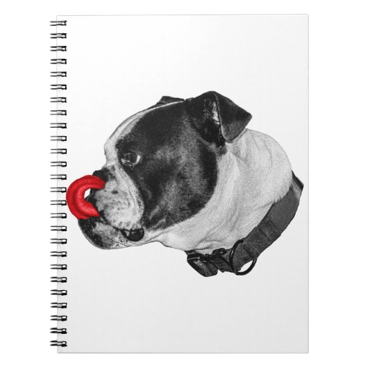 Bulldog Red Accent Notes Notizblock (Vorderseite)