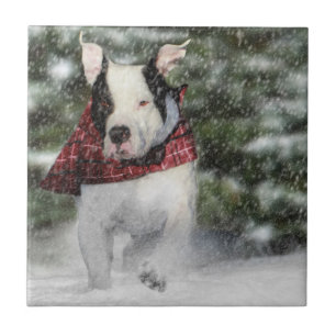 Bulldog Rescue Pup Dashing durch den Schnee Fliese