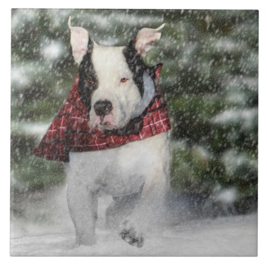 Bulldog Rescue Pup Dashing durch den Schnee Fliese (Vorderseite)