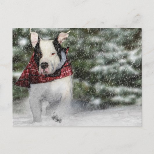 Bulldog Rescue Pup Dashing durch den Schnee Postkarte (Vorderseite)