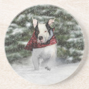 Bulldog Rescue Pup Dashing durch den Schnee Sandstein Untersetzer