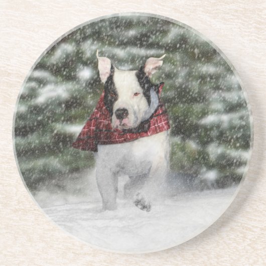 Bulldog Rescue Pup Dashing durch den Schnee Sandstein Untersetzer (Vorne)