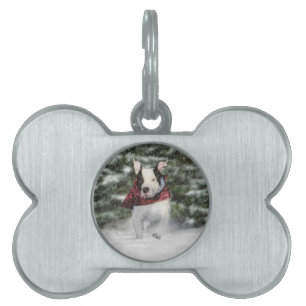 Bulldog Rescue Pup Dashing durch den Schnee Tiermarke