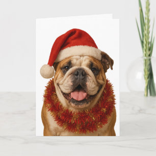 Bulldog-Santa-Hut-Weihnachtskarte Karte