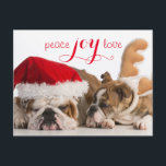 Bulldog Santa und Rentier Feiertagspostkarte<br><div class="desc">Weihnachtshunde - englische Bulldog santa und rudolph auf weißem Hintergrund © und ® Bigstock® - Alle Rechte vorbehalten.</div>