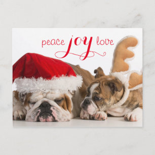 Bulldog Santa und Rentier Feiertagspostkarte