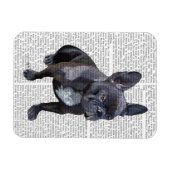Bulldog Schlicht Magnet (Horizontal)