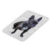 Bulldog Schlicht Magnet (Linke Seite)