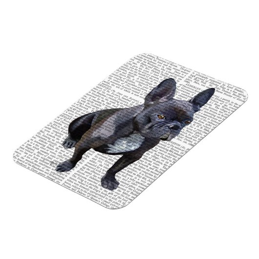 Bulldog Schlicht Magnet (Linke Seite)