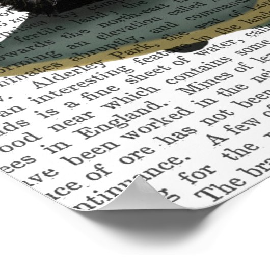 Bulldog Schlicht Poster (Ecke)