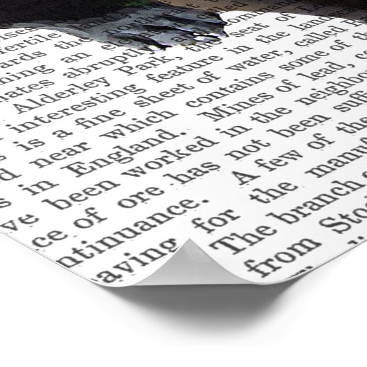 Bulldog Schlicht Poster (Ecke)