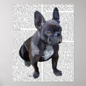 Bulldog Schlicht Poster (Vorne)