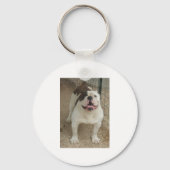 Bulldog Schlüsselanhänger (Rückseite)