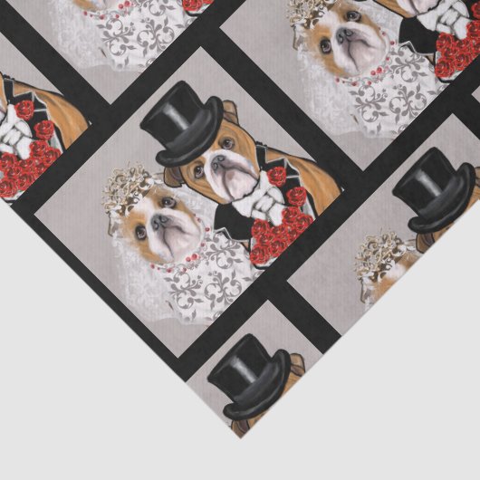 Bulldog Seidenpapier (Detail)