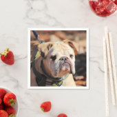 Bulldog Serviette (Beispiel)