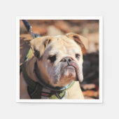 Bulldog Serviette (Vorderseite)