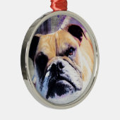 Bulldog Silbernes Ornament (Rechts)