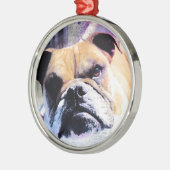 Bulldog Silbernes Ornament (Links)