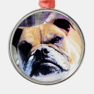 Bulldog Silbernes Ornament