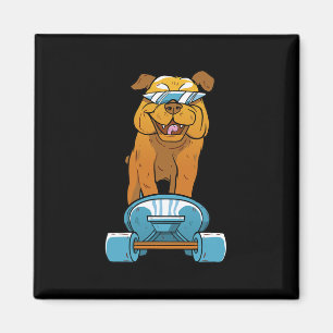 Bulldog Spaß Skateboarding Französische Bulldogge  Magnet