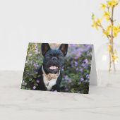 Bulldog-Stände in Blume Karte (Gelbe Blume)