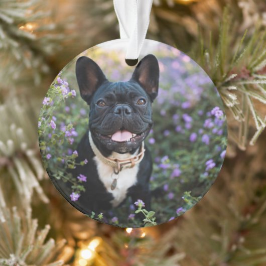 Bulldog-Stände in Blume Ornament (Baum)