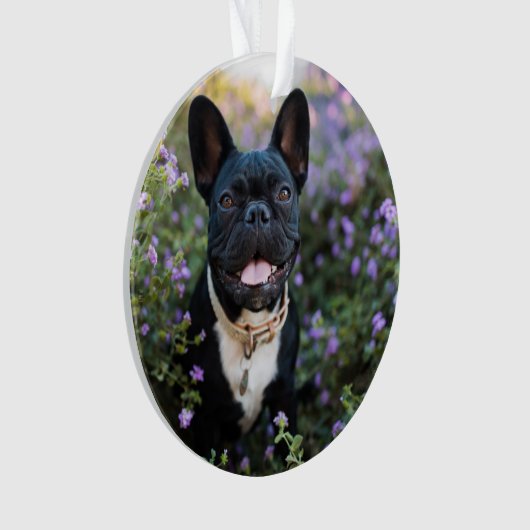 Bulldog-Stände in Blume Ornament (Vorderseite)