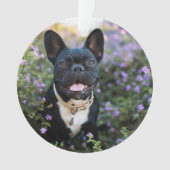 Bulldog-Stände in Blume Ornament (Vorderseite)