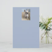 Bulldog-Stationäre Briefpapier (Stehend Vorderseite)