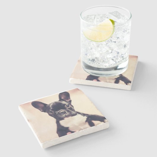 Bulldog Steinuntersetzer (Seitenansicht)