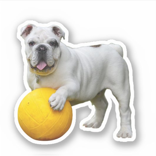 Bulldog-Sticker Aufkleber (Vorderseite)